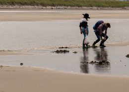 Two people shellfishing on a sandy shore