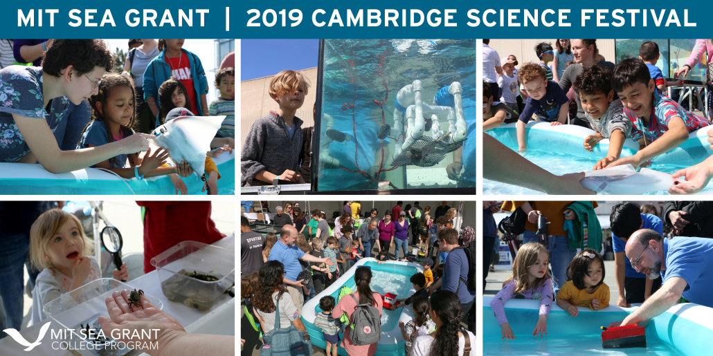 A collage of nine photos from the Cambridge Science Festival, including the SeaPerch tank, live touch tanks, and robot zoo pool.