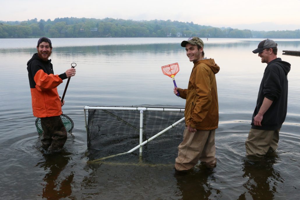Three students hold nets by a larger holding pen submerged about knee-deep in a lake