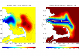 Two salinity maps showing gradients of mostly yellows and reds