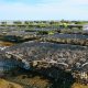 Oyster farm with many wire enclosures on flat wet sand