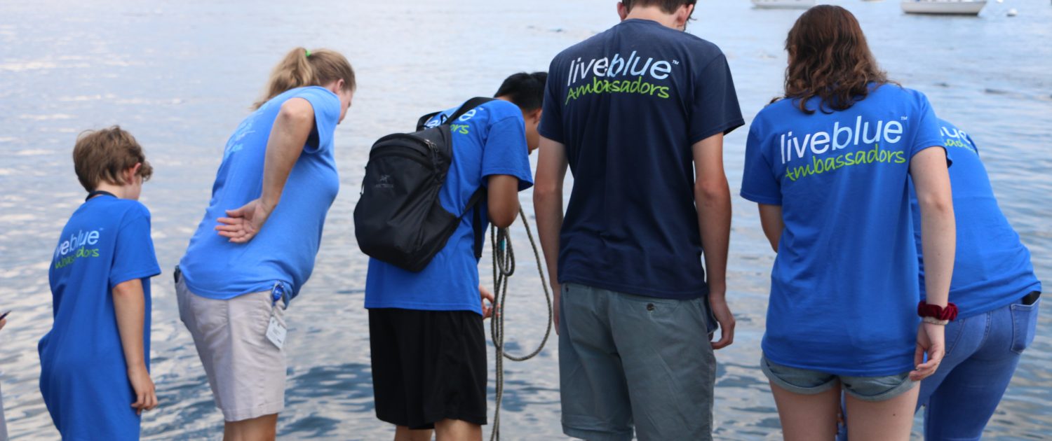 A group of citizen scientists perform bucket sampling on a dock in Boston Harbor.