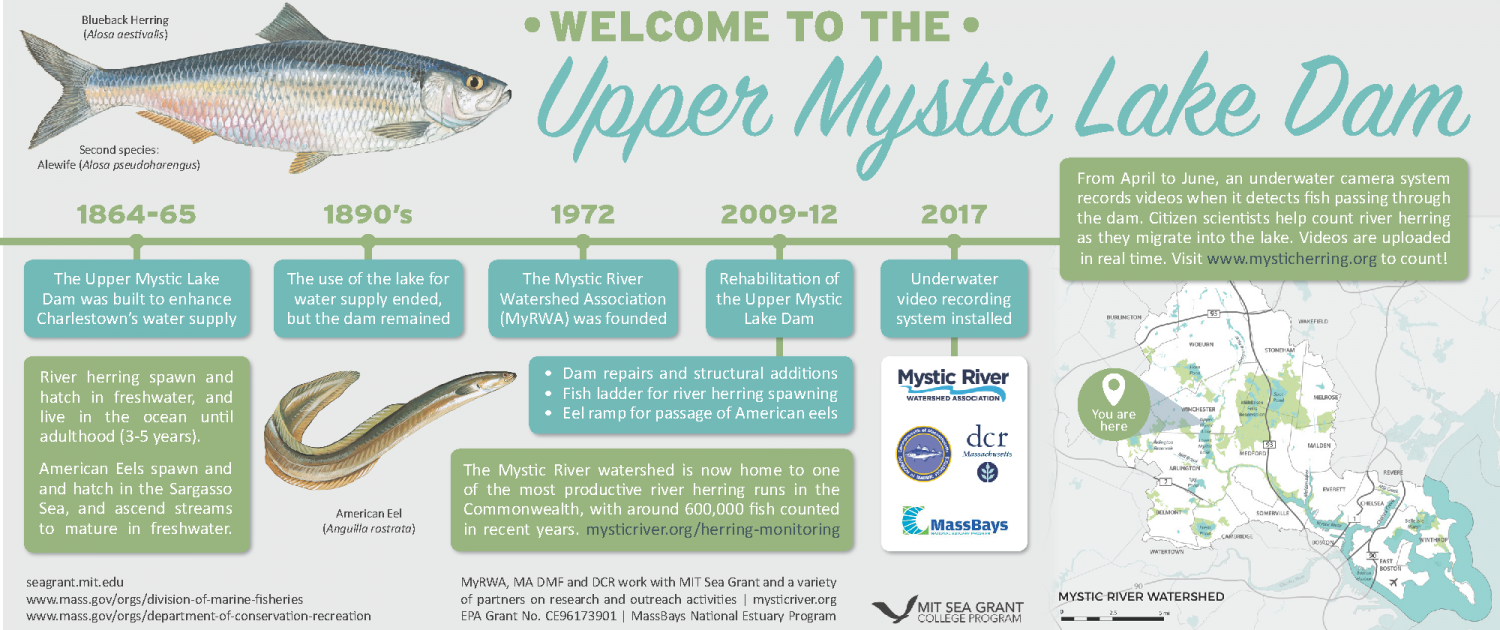 Signage for the Upper Mystic Lake showing a timeline of the lake, map, herring, and eel.