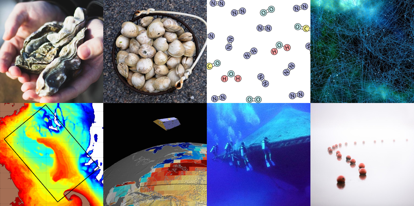 A collage of eight images, including oysters and buoys, to visualize topics of funded research.