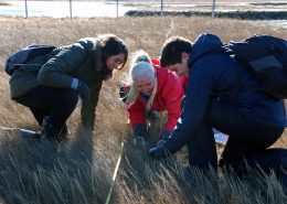 Three smiling students crouch in a salt marsh counting species of grass.