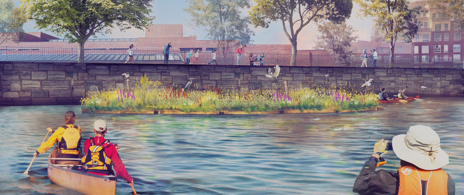A rendering of the Charles River Floating Wetland depicting kayakers and birds by the wetland.