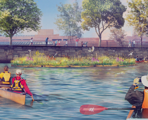 A rendering of the Charles River Floating Wetland depicting kayakers and birds by the wetland.