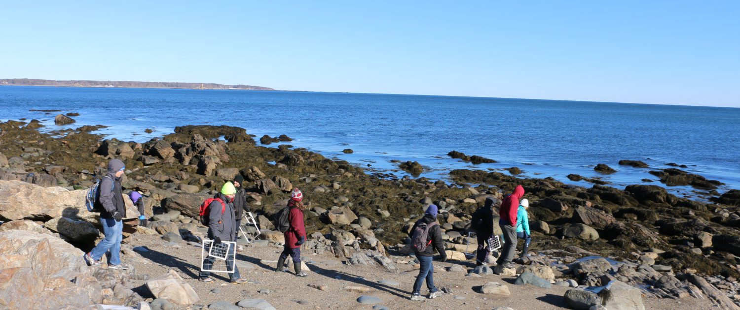 A small group of people walk along a rocky shore with research equipment