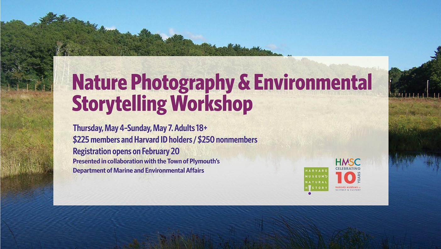 Nature Photography & Environmental Storytelling Workshop graphic