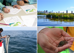 Four photographs showing students working at a table, pulling up a plankton tow, and holding a crab, and an image of the Charles River Floating Wetland