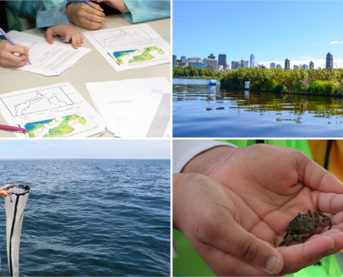 Four photographs showing students working at a table, pulling up a plankton tow, and holding a crab, and an image of the Charles River Floating Wetland