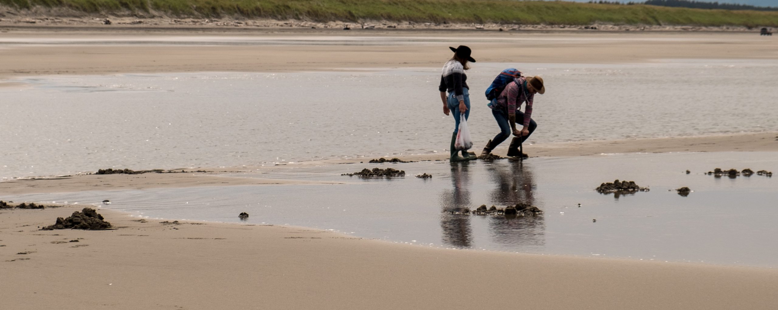 Two people shellfishing on a sandy shore
