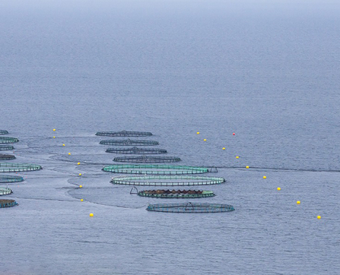 Aerial view of offshore aquaculture cages
