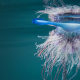A jellyfish floating in the ocean just under the surface