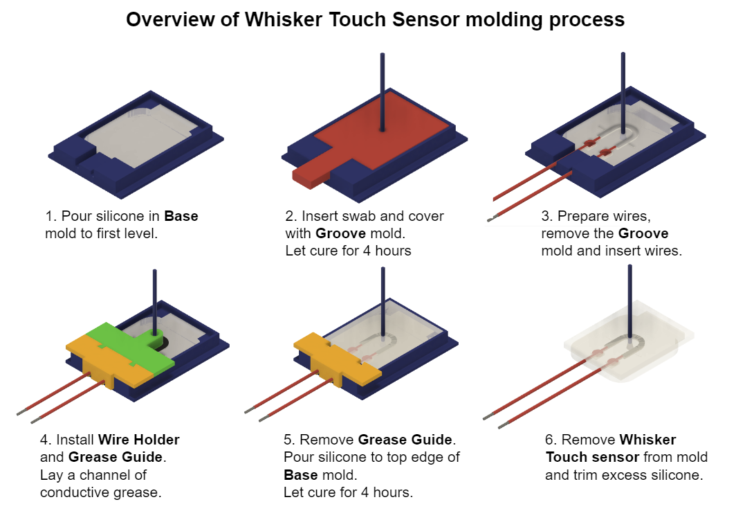 Images of each stage of Whisker molding process