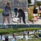 A collage of Sea Grant staff and people outside doing coastal resilience research, education, and outreach activies.