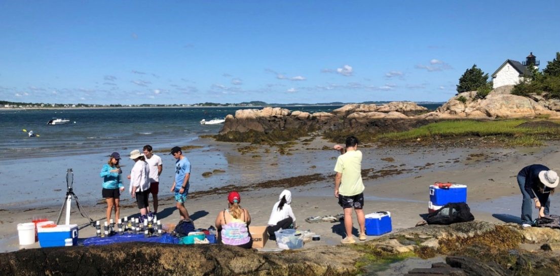 Field crew on a beach assembling equipment and waiting for divers to return with sediment cores. Photo credit: Heidi Nepf