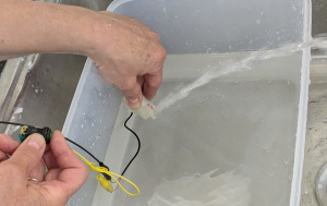 Pump operating in a tub of water.