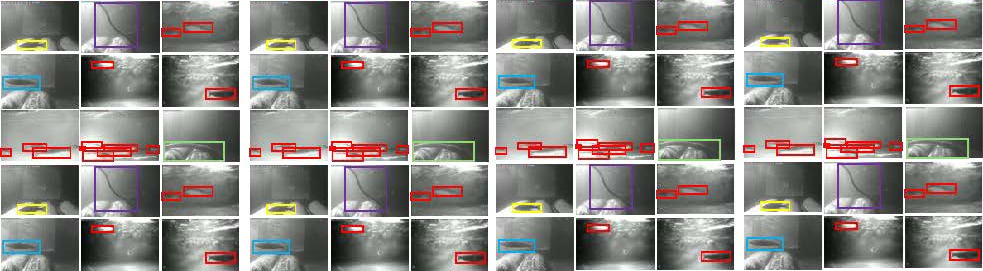 Boxes around river herring from underwater footage for AI model training and prediction. Image by Zhongqi Chen