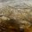 River herring migration beneath the surface (Photo: Keith Ellenbogen, MIT Sea Grant Visiting Artist)