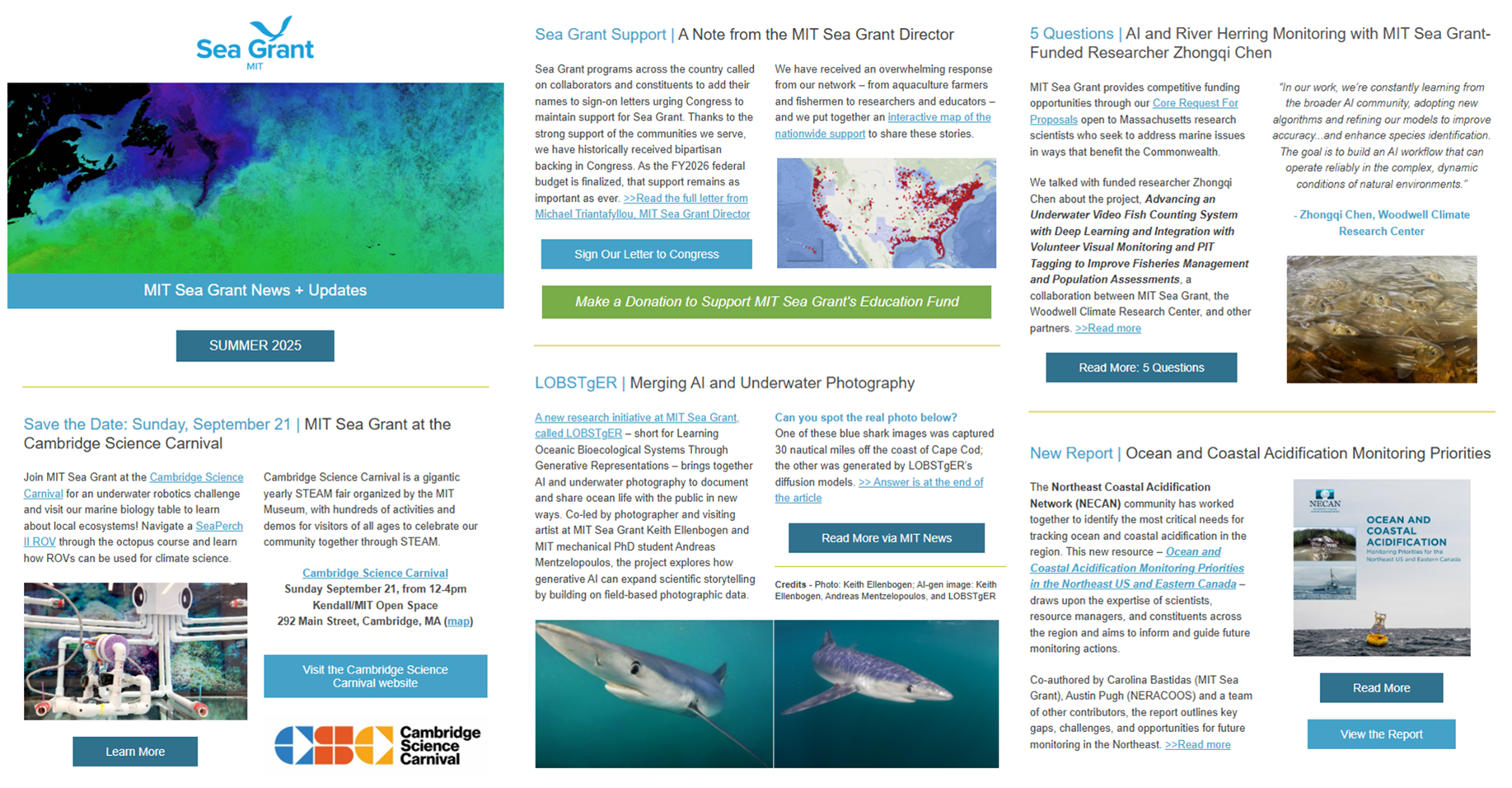 Screenshot preview of MIT Sea Grant Summer 2025 Newsletter