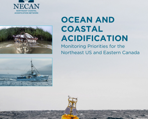 Ocean and Coastal Acidification Monitoring Priorities report cover