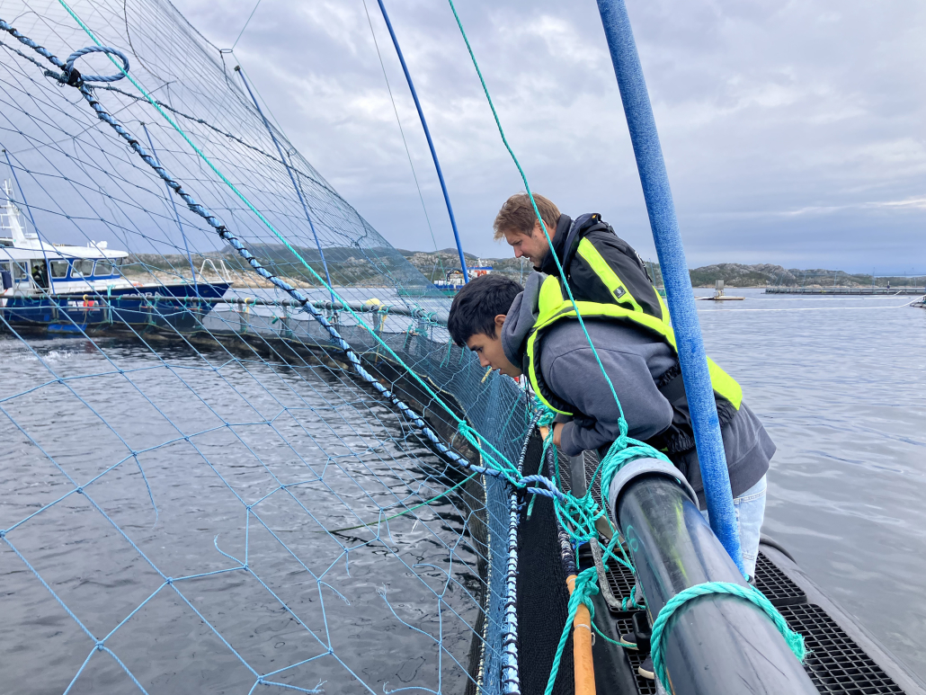 A student leans over an offshore aquaculture net pen with a boat in the background.