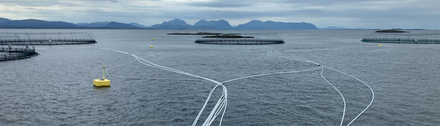Salmon net pens at an offshore aquaculture site with fjords and mountains in the background. 