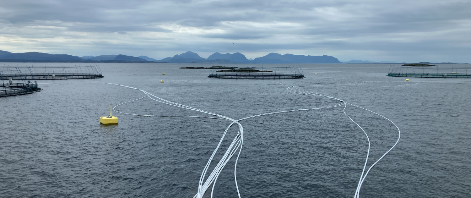 Salmon net pens at an offshore aquaculture site with fjords and mountains in the background.