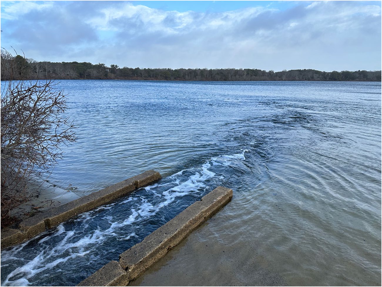 Marine salt water intrusion into Herring Pond in Eastham, MA during high spring tides.